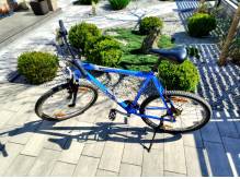 ox_rower-merida-26-195