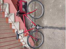 ox_rower-univega