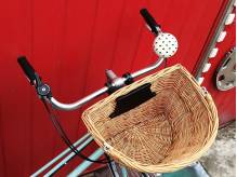 ox_rower-damka-bdb-stan-na-duzych-kolach-w-pelni-sprawny-kompletny