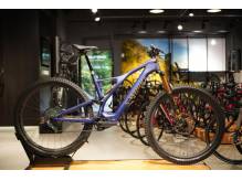 ox_2024-specialized-turbo-levo-comp-alloy