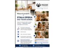 Sprzątanie , mycie okien, pranie tapicerki, Cieszyn i okolice 