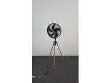1000007774.jpeg