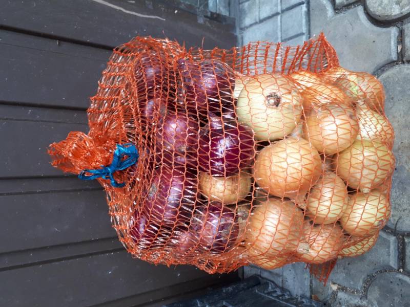 ox_czosnek-ziemniaki-cebule-sprzedam