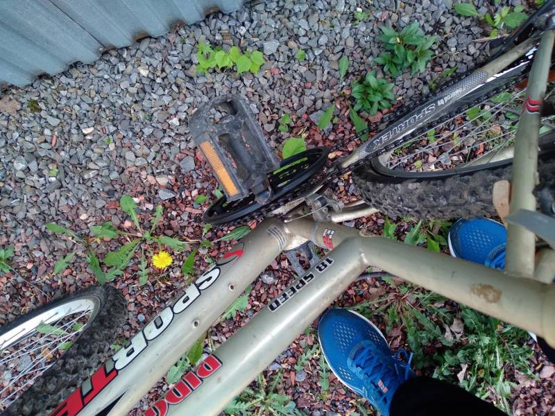 ox_rower-sportek-sprawny