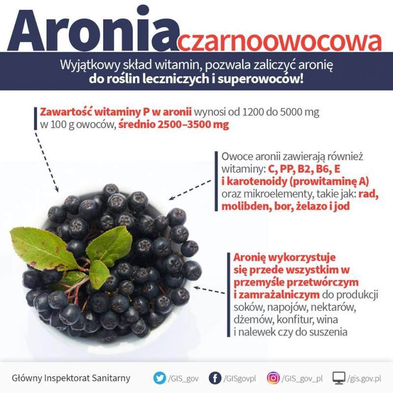ox_aronia-owoce-ekologiczna-z-wlasnego-ogrodka