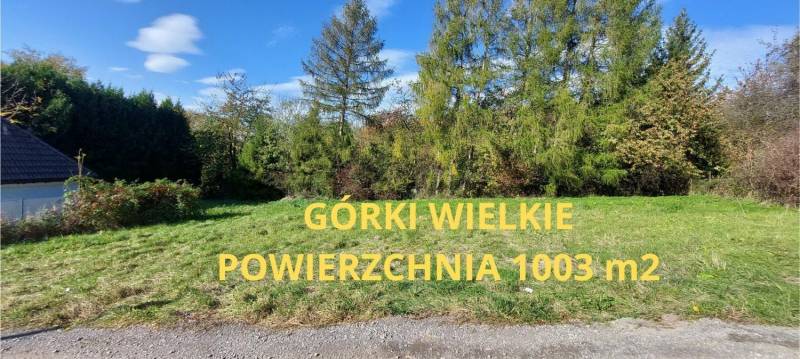 ox_gorki-wielkie-urocza-dzialka-budowlana