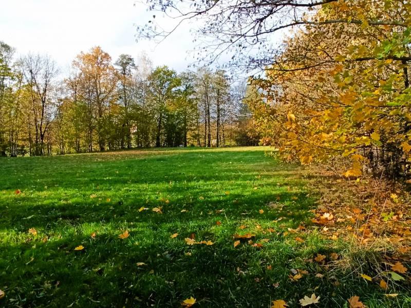 ox_ustron-lipowiec-dzialki-w-ladnej-okolicy