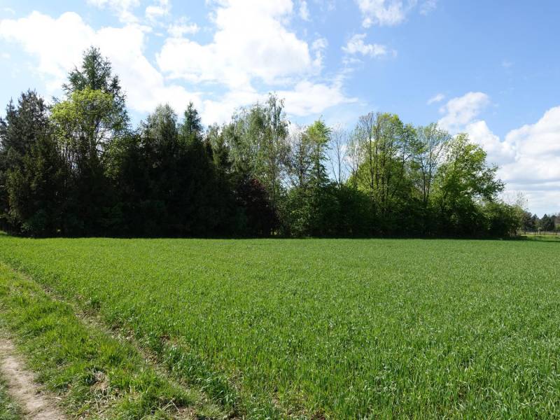 ox_skoczow-pruchna-115ha-w-samym-centrum-pod-zabudowe-stadnine-koni