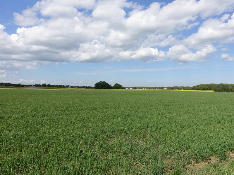 ox_skoczow-pruchna-115ha-w-samym-centrum-pod-zabudowe-stadnine-koni