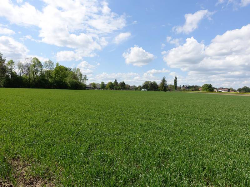 ox_skoczow-pruchna-115ha-w-samym-centrum-pod-zabudowe-stadnine-koni