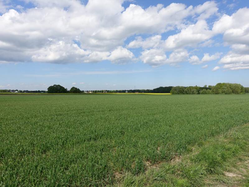 ox_skoczow-pruchna-115ha-w-samym-centrum-pod-zabudowe-stadnine-koni