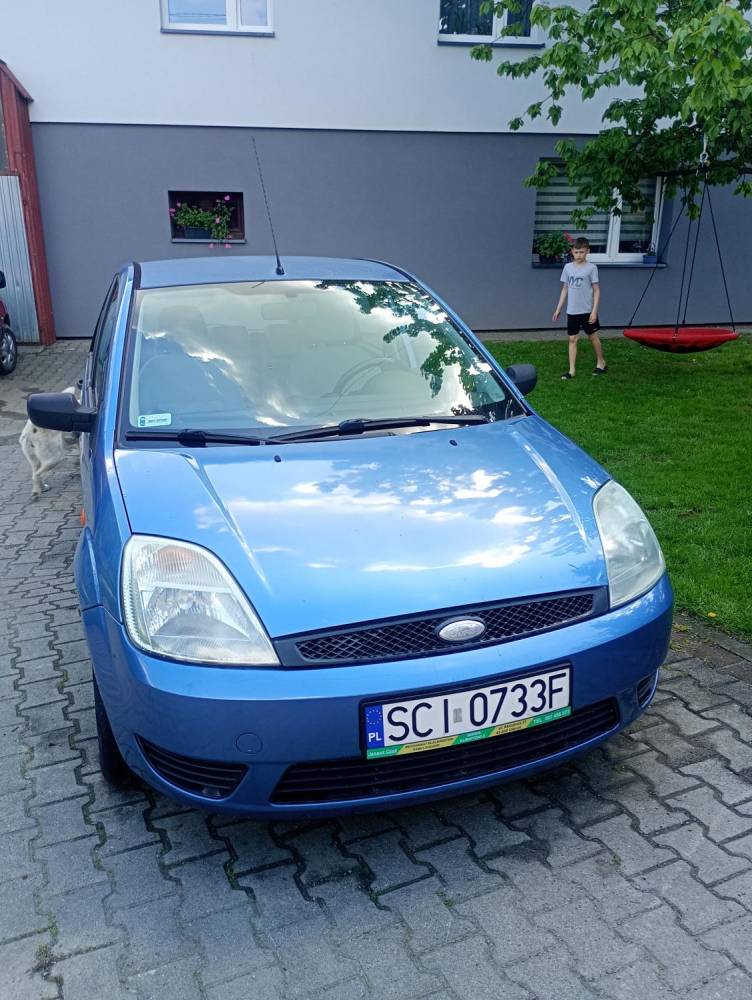 ox_ford-fiesta-13-benzyna