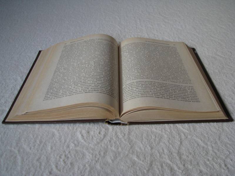 ox_historia-literatury-polskiej-w-zarysie-m-stepien-wydanie-i-twarda-opra