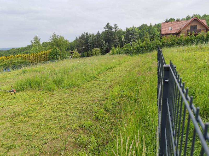 ox_koszenia-trudnych-terenow-nieuzytkow-chaszczy