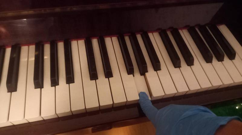 ox_pianino-calisia