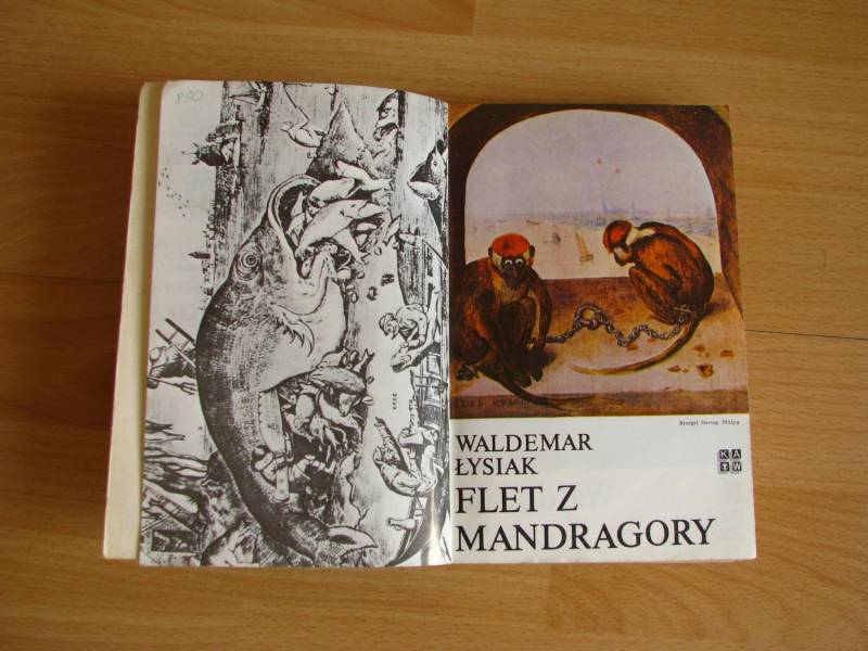 ox_flet-z-mandragory-wldemar-lysiak