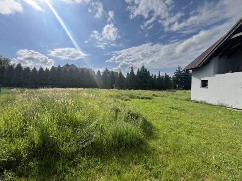 ox_dom-wolnostojacy-swierklany