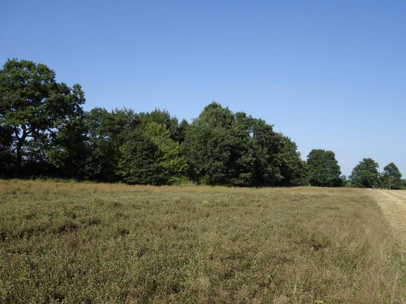 ox_skoczow-ochaby-57ar-pod-lasem-nadaje-sie-pod-rekreacje-strzelnice-staw