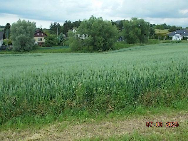 ox_sprzedam-dzialke-budowlana