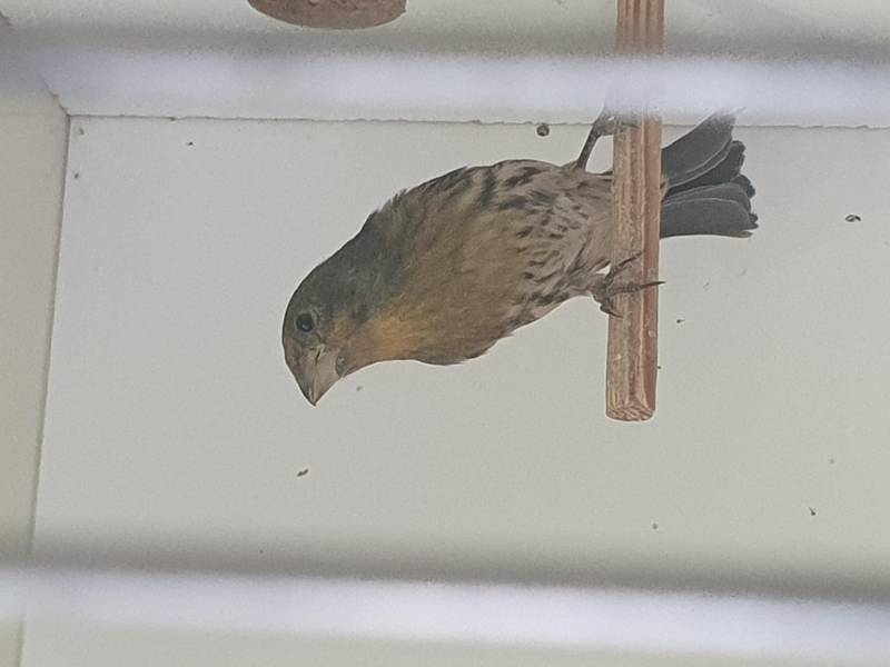 20261008-103626.jpeg