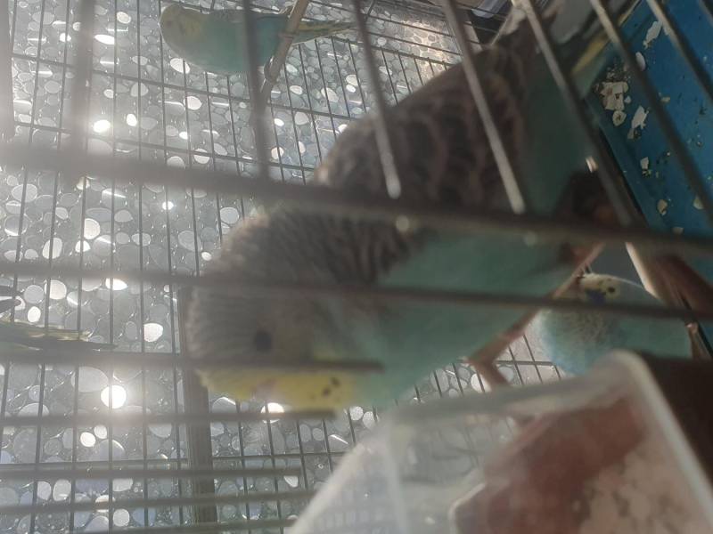 20261009-163115.jpeg