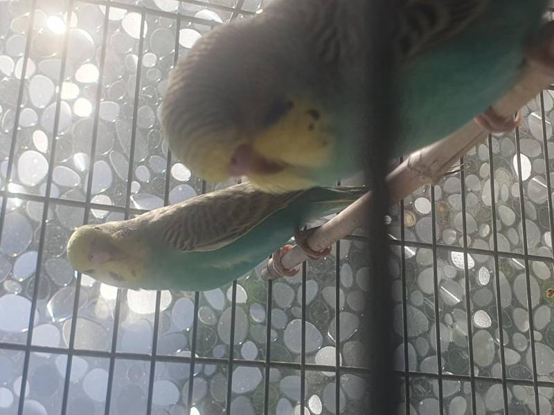 20261009-163131.jpeg